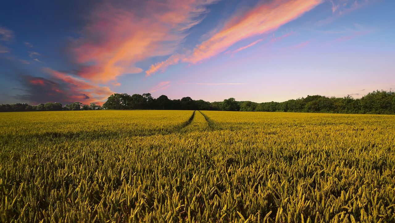 Countryside 2326787