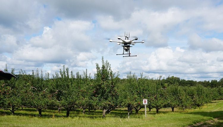 Dronmd 750x430