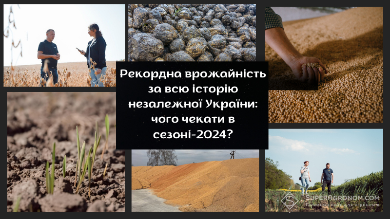 Vsogo V Ukraini V 2023 R Zibrali 118 Mln Tonn Tsukrovih Buryakiv 3 37928